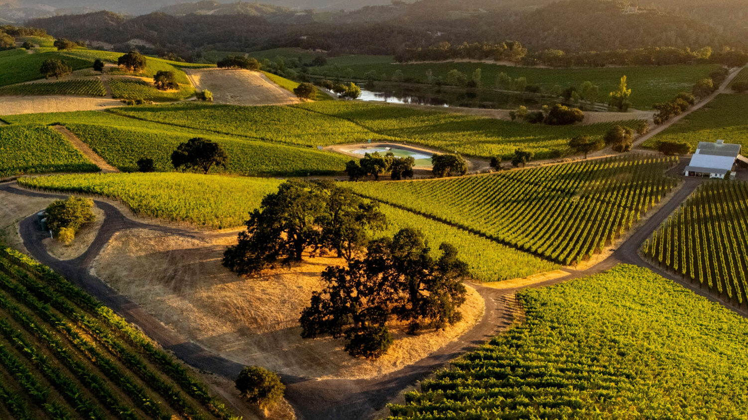 Gamble Estates 1 Gamble Estates 1