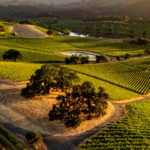 Gamble Estates 2 Gamble Estates 2