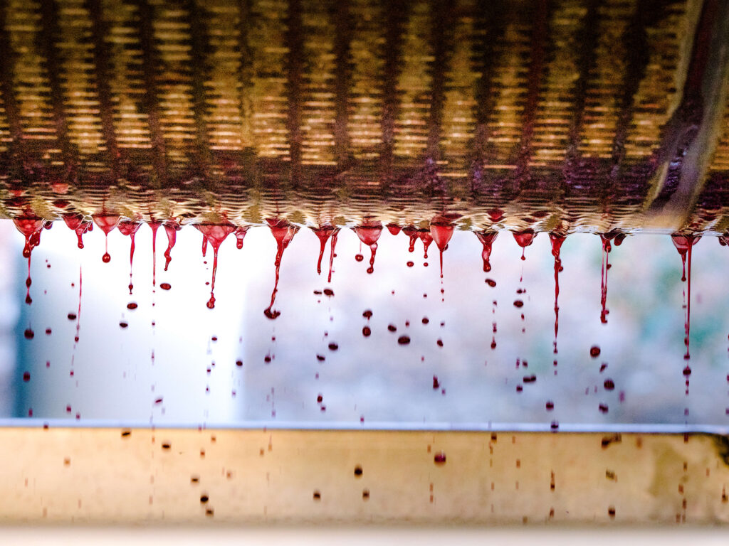 Latest Wine Reviews – October 2025 5