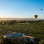 Arrow&Branch 2 Arrow&Branch 2