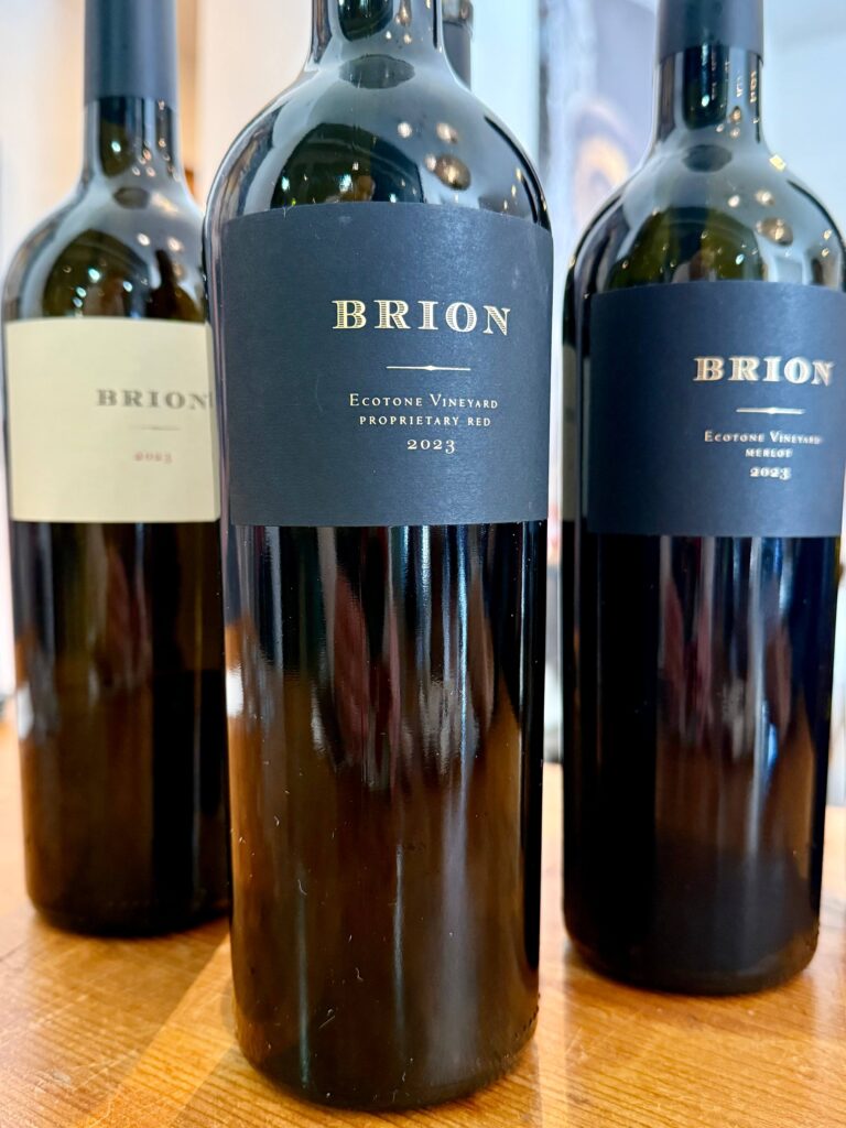 Brion_4