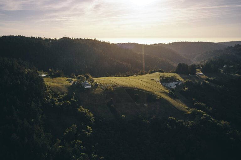 Camp-Meeting-Ridge-Flowers
