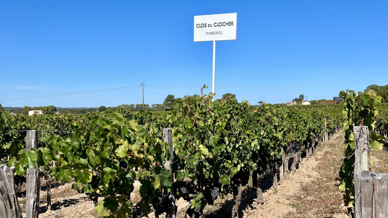 Château Clos du Clocher 1 Château Clos du Clocher 1