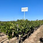 Château Clos du Clocher 3