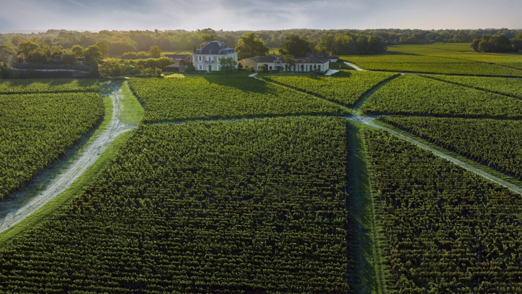 Château Haut-Bailly 1