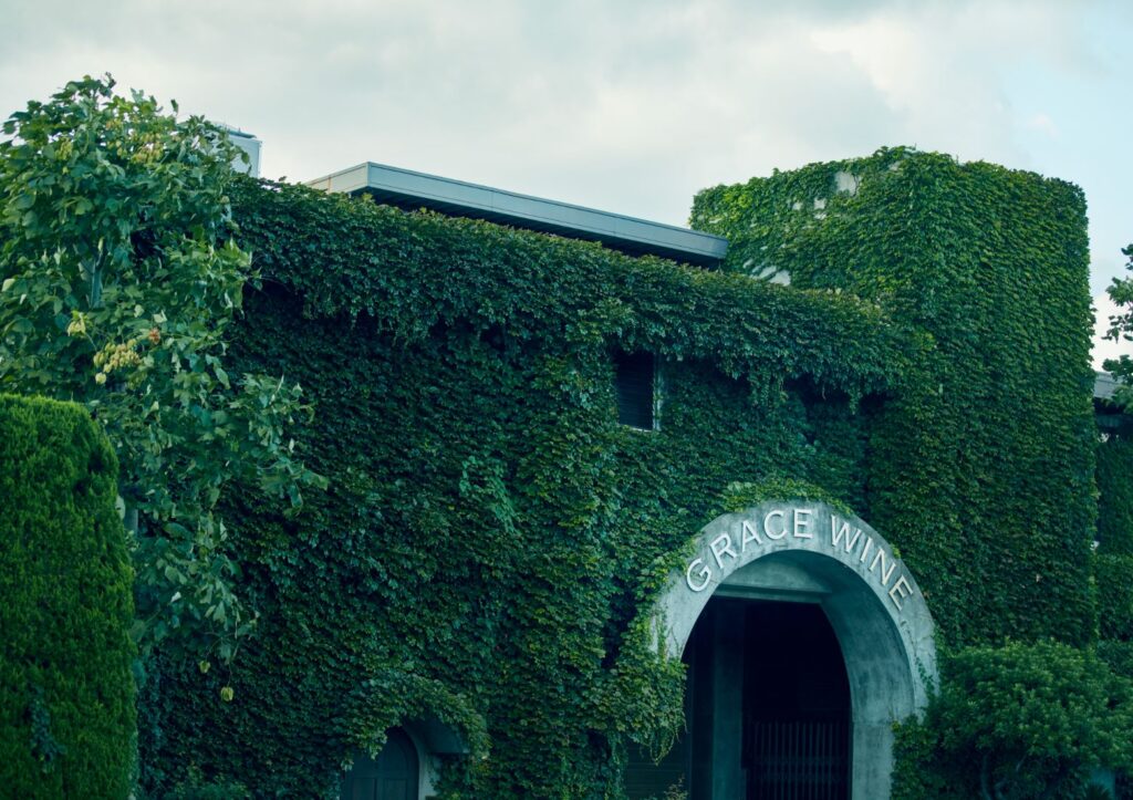 Winery Stories 3