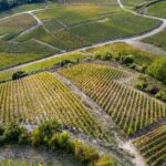 Champagne Henriot 2 Champagne Henriot 2