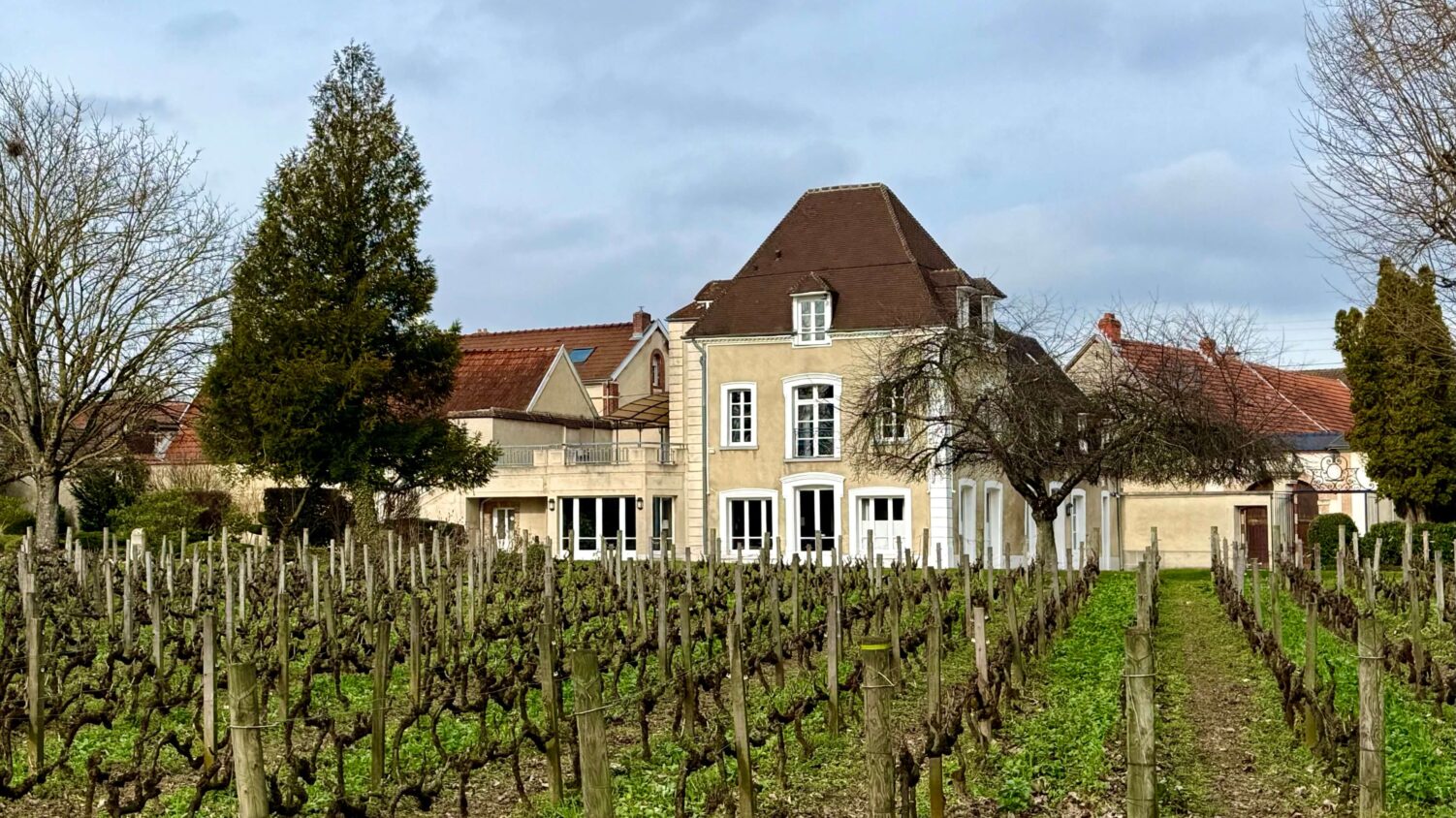 Champagne Jacquesson 1