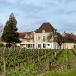 Champagne Jacquesson 2 Champagne Jacquesson 2