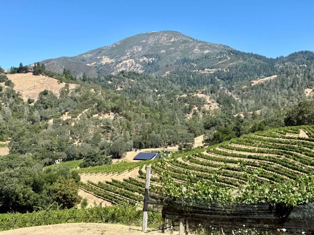 Jericho Canyon Vineyard 3 Jericho Canyon Vineyard 3