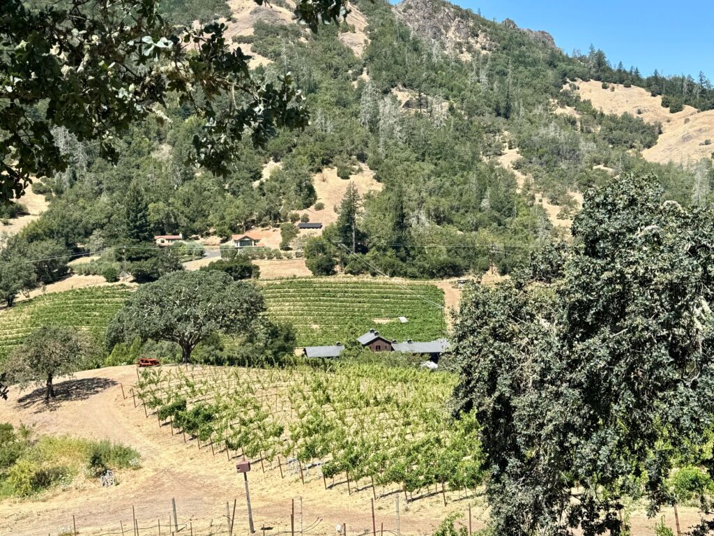 Jericho Canyon Vineyard 1 Jericho Canyon Vineyard 1