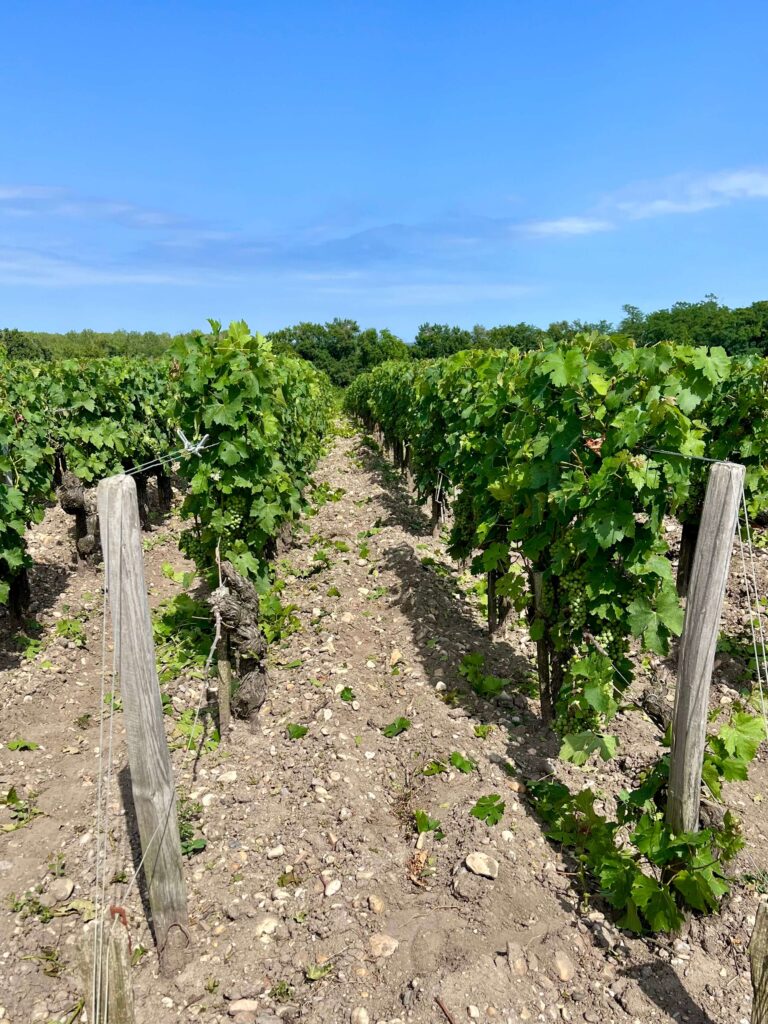 Château Léoville Barton 2 Château Léoville Barton 2