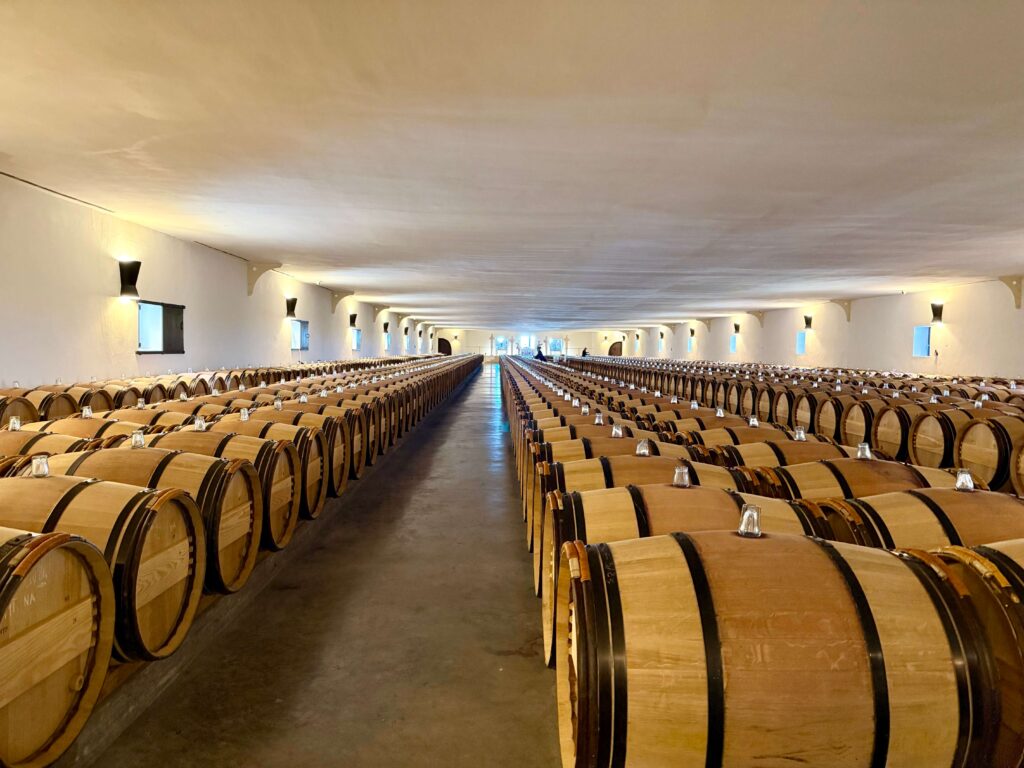 Château Mouton Rothschild 9 Château Mouton Rothschild 9