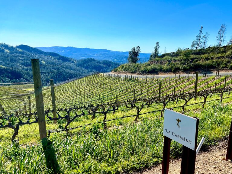 Peter Michael Vineyard