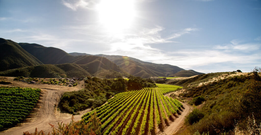 Santa Lucia Highlands 5
