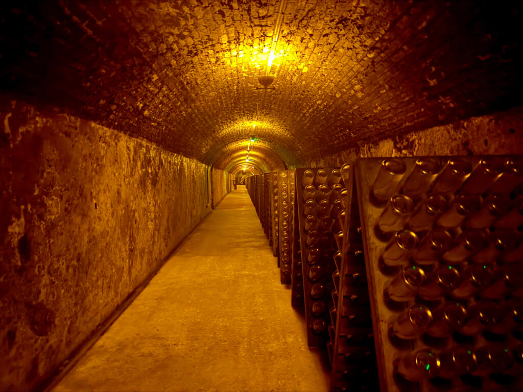 Winery Stories 7
