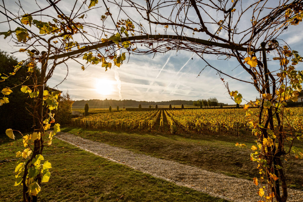 Winery Stories 9