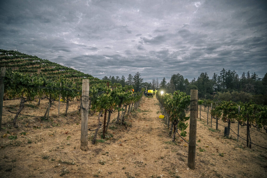Vineyard 7 & 8 6 Vineyard 7 & 8 6
