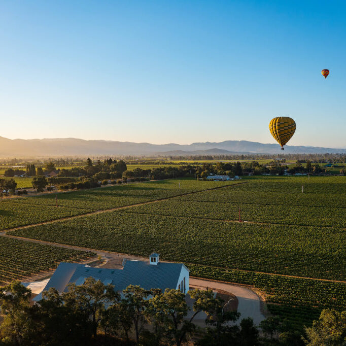 Arrow&BranchWinery_view-DJI_0046-DNG