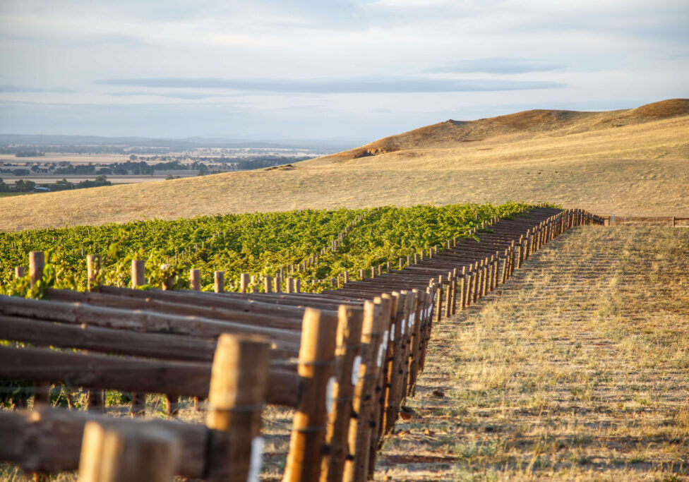 Chalmers_Heathcote-16