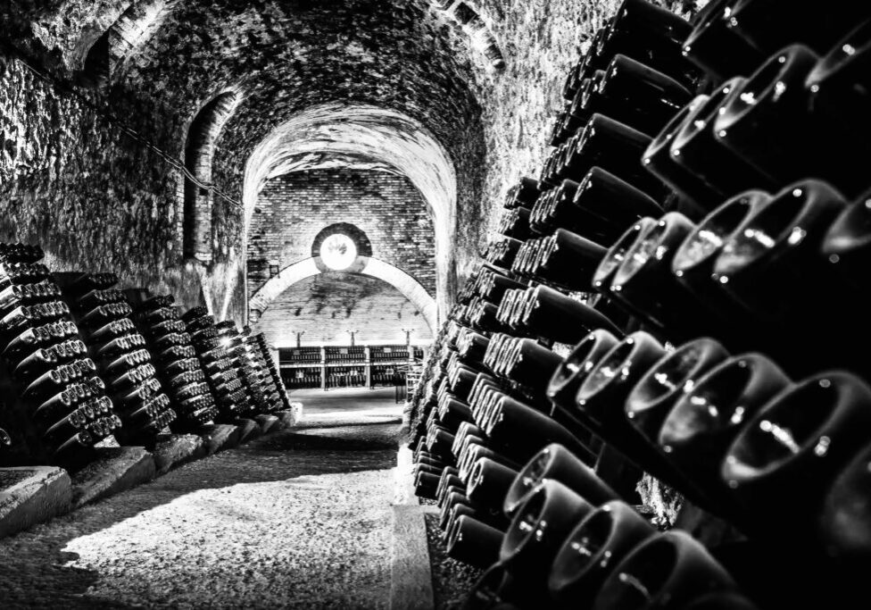 Champagne_cellar