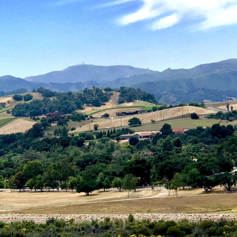 Cumulus Vineyard