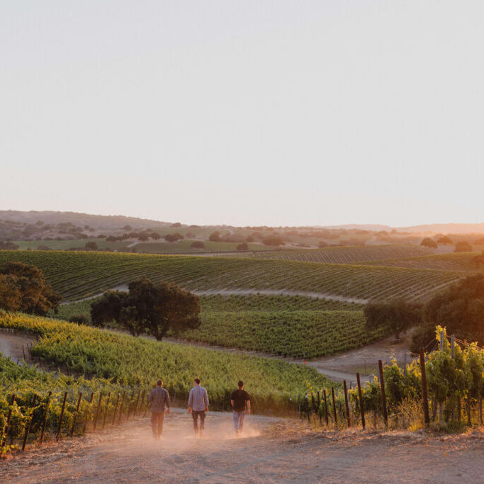 Dragonette Vignerons walking at sunset photo credit Heather Daenitz Craft and Cluster