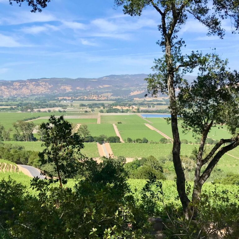 Harlan View