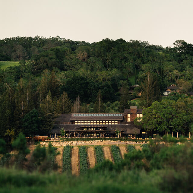 IDENTITY---Joseph-Phelps-Vineyards-Winery