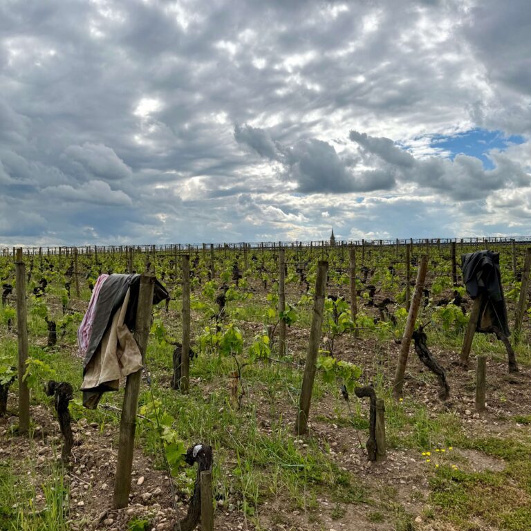 Société Agricole de Lafleur