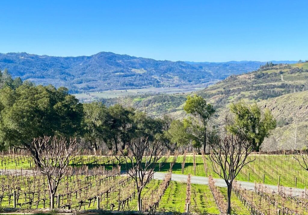 Lail Mole Hill Vineyard