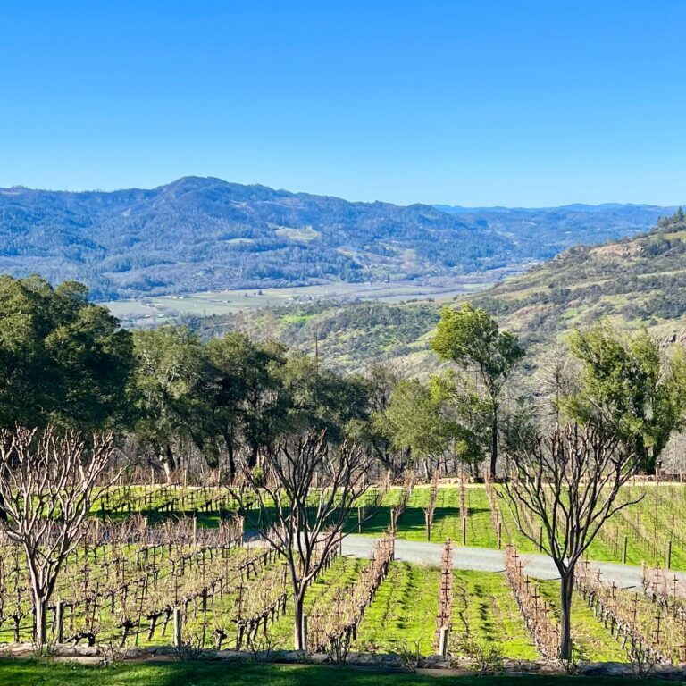 Lail Mole Hill Vineyard