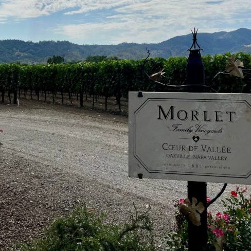 Morlet Vineyard CdV 2