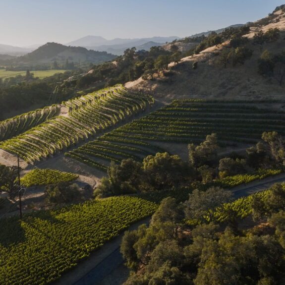 Poetry Vineyard