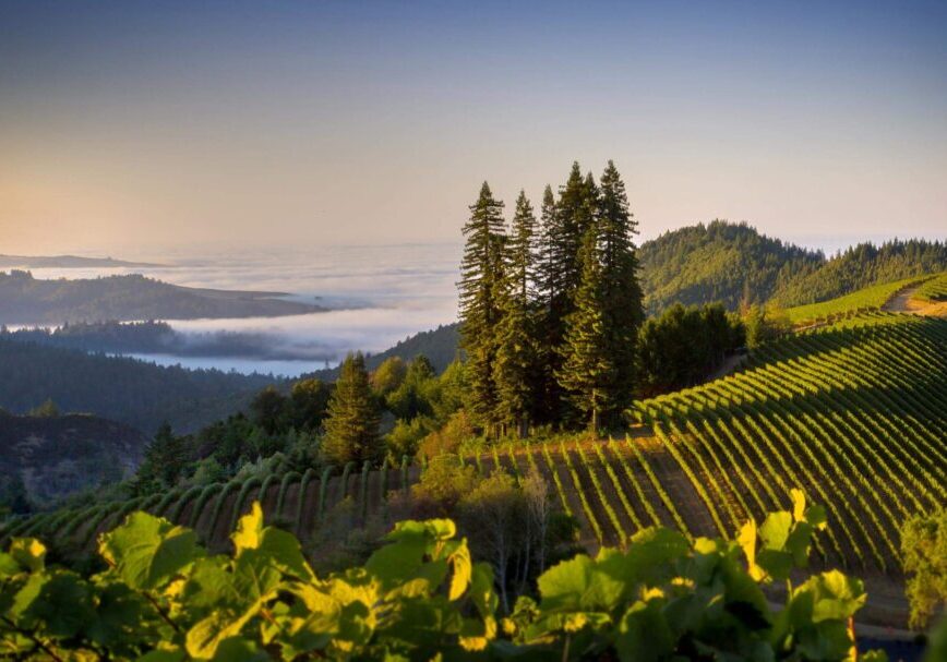 SeaView-Hero-Shot-scaled