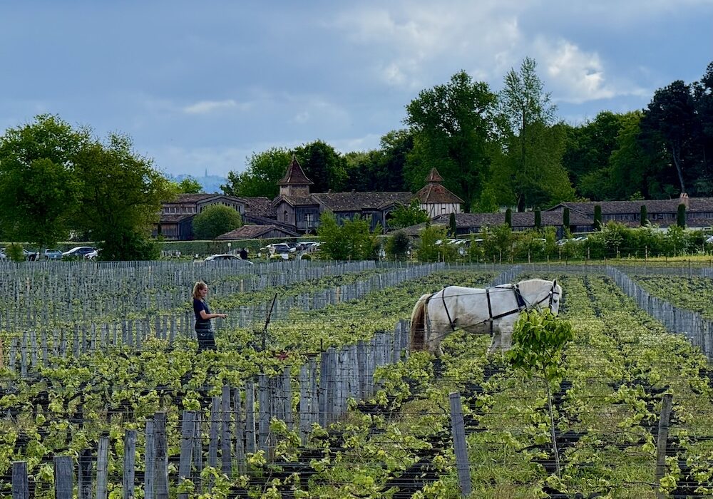 VR_Bordeaux_2022