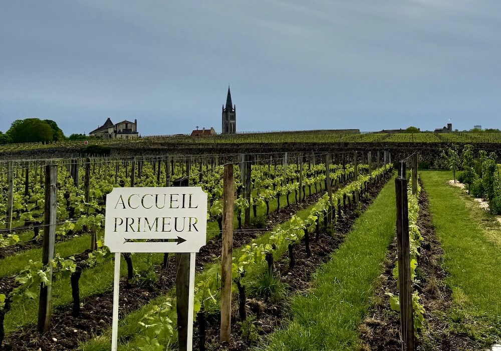 VR_Bordeaux_2024