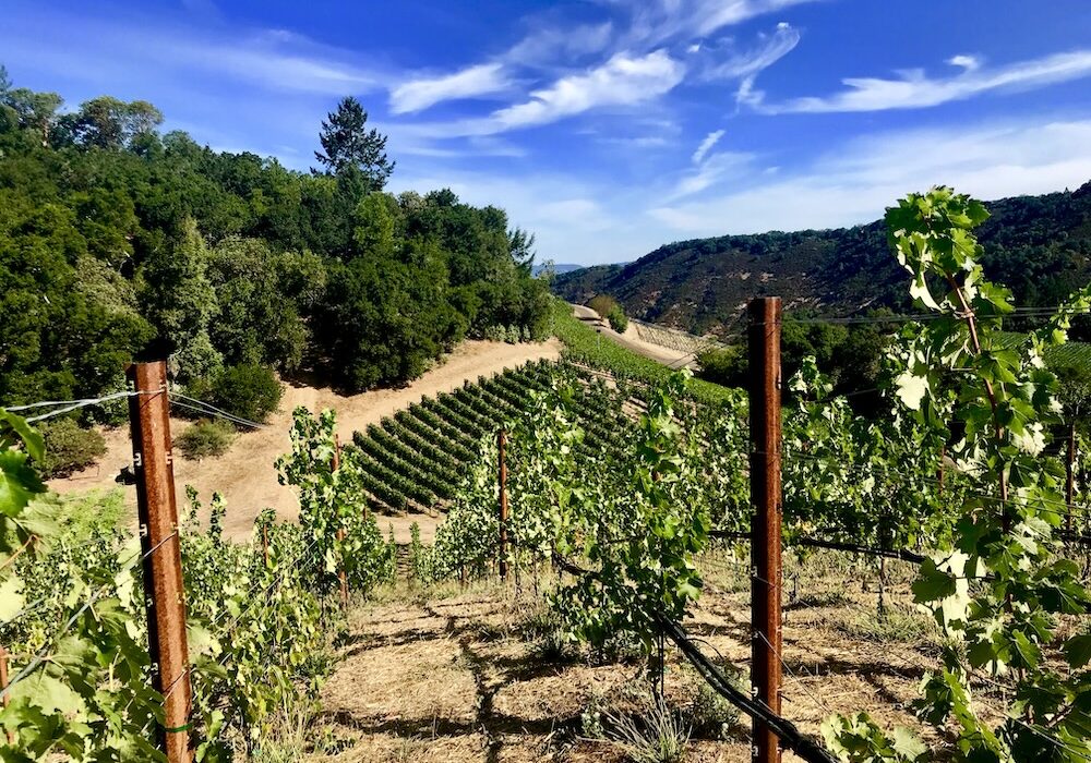 VR_Napa_2023