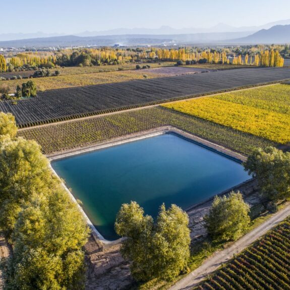 cheval-des-andes-argentina-wine-mendoza-9-2500x1405